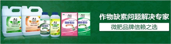 #微肥課堂#為什么葉面肥養(yǎng)分含量相同，效果卻不同？