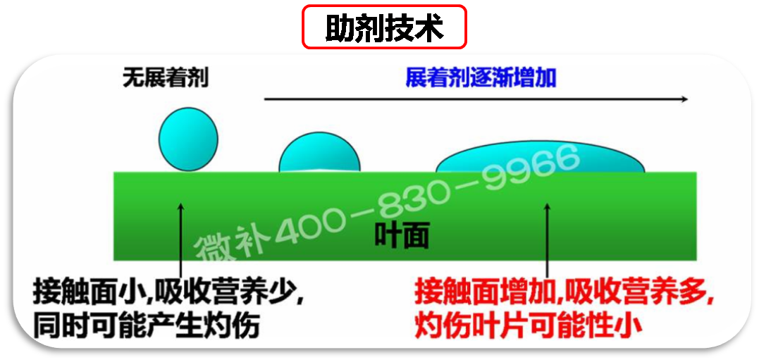 余教授德國鄉村行：我在德國為什么不會點啤酒了？