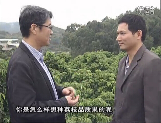 20160104珠江臺搖錢樹：補充所需微補營養，種出品質荔枝，提高收益賣價！
