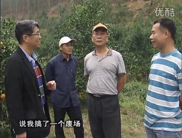 20160118珠江臺搖錢樹：貢柑用微補全年營養方案，黃樹翻身還高產增果
