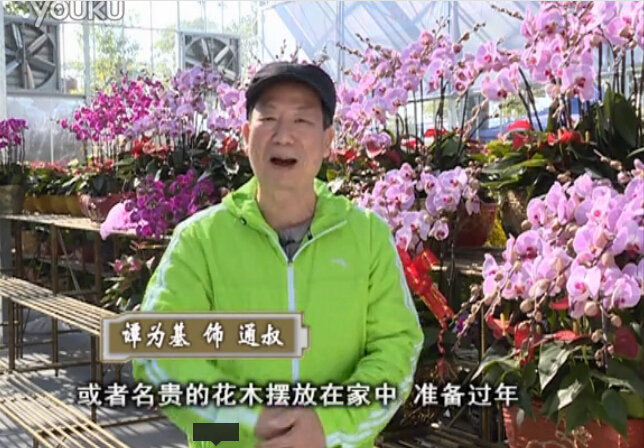 20160201珠江臺搖錢樹：新春家養花卉、盆栽，如何養護葉子、鮮花、果子保鮮更長？