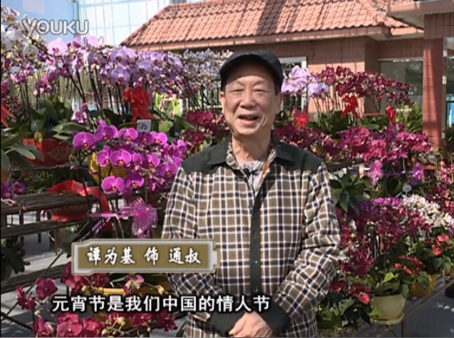 20160222珠江臺搖錢樹：用綠夫人營養液，簡單種花都能養得靚