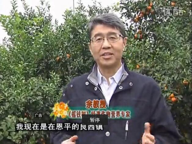 20160229珠江臺(tái)搖錢(qián)樹(shù)：柑橘用微補(bǔ)全年方案，黃樹(shù)恢復(fù)、果品質(zhì)好賣(mài)價(jià)高