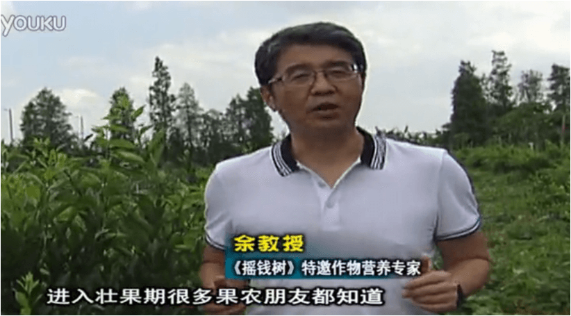 20160620珠江臺(tái)搖錢(qián)樹(shù)：柑橘淋微補(bǔ)調(diào)力、噴蓋力+壯力，調(diào)酸壯長(zhǎng)勢(shì)、膨果防裂好