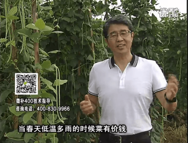 20160704珠江臺搖錢樹：蔬菜用微補方案，省肥藥又保產