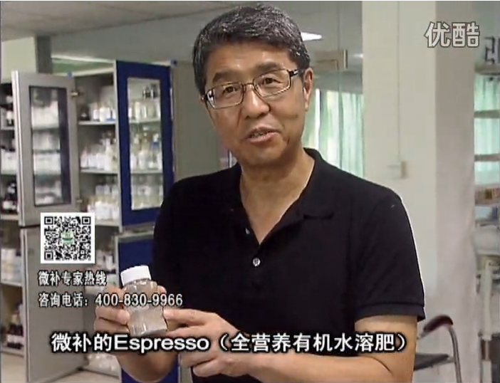 20160822珠江臺(tái)搖錢(qián)樹(shù)：柑橘秋梢淋沖因迪樂(lè)精華粉，補(bǔ)充有機(jī)營(yíng)養(yǎng)，健壯果樹(shù)