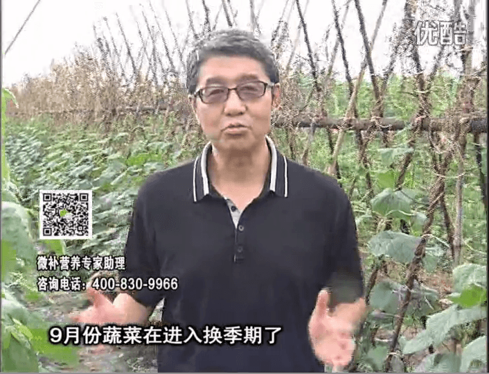 20160926珠江臺搖錢樹：換季蔬菜淋根力鈣精力促根壯長，淋微補調力調酸減少病害