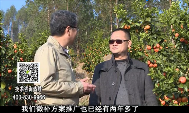 20180122珠江臺搖錢樹：廣西柑橘如何管？產量賣相好?