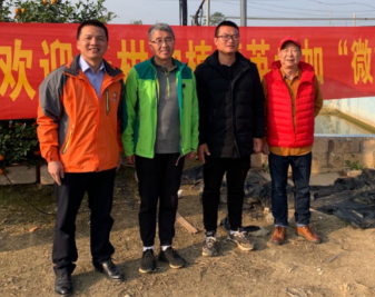 柑橘采前管理要點